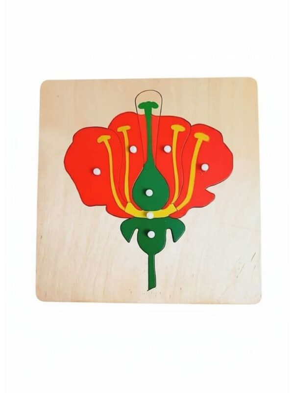 פאזל חלקי הפרח