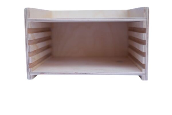 הכוננית של פאזלי תחום הבוטנחקה ( 5)